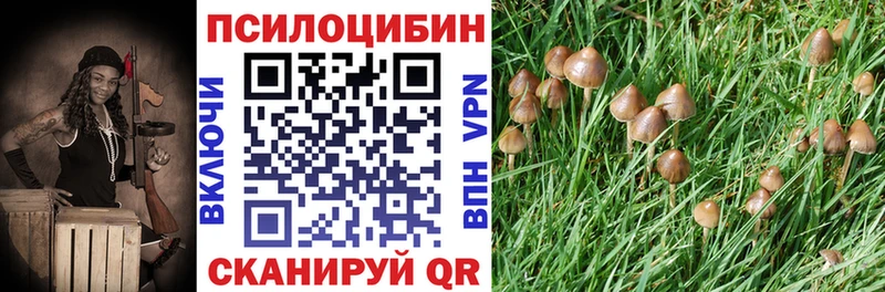 kraken сайт Старая Русса Галлюциногенные грибы MAGIC MUSHROOMS как найти